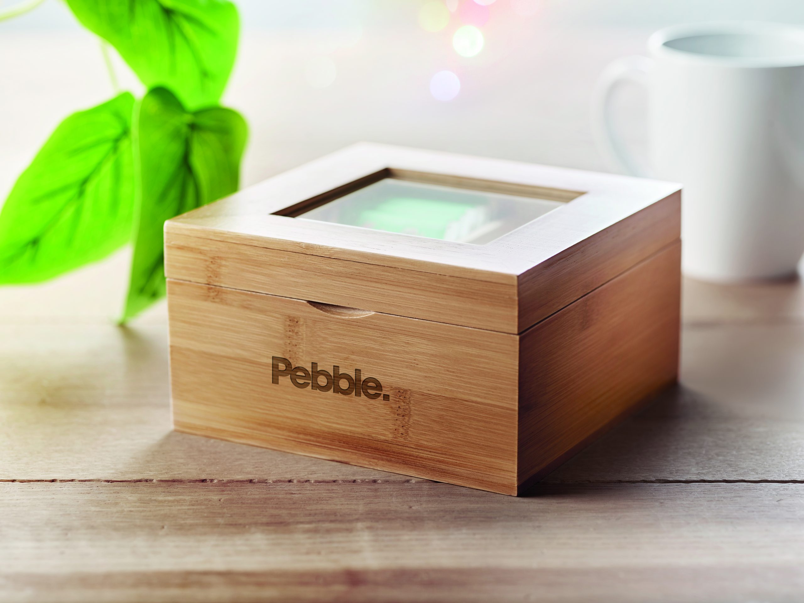 CAMPO TEA - Image 10