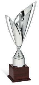 Trophy 96010