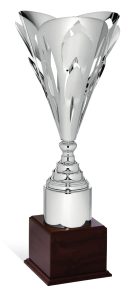 Coppa 96012