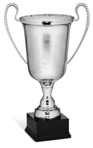 Trophy 96025