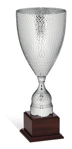 Coppa 96042