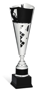 Coppa 96047