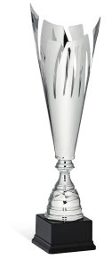 Coppa 96056