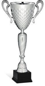Coppa 96154