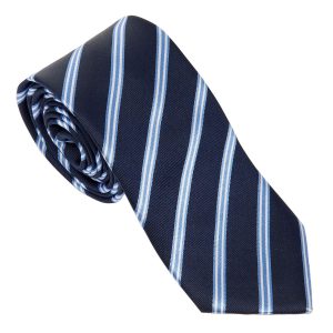 Festina Silk Tie Prestige Navy
