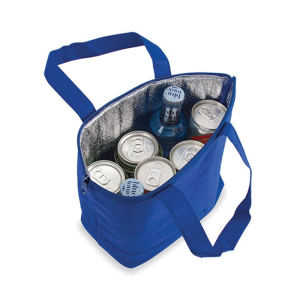 Cooler bag 098