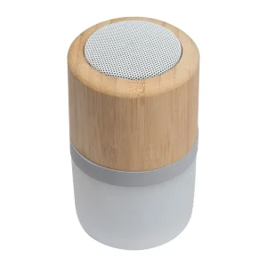 Altoparlante Bluetooth Haarlem