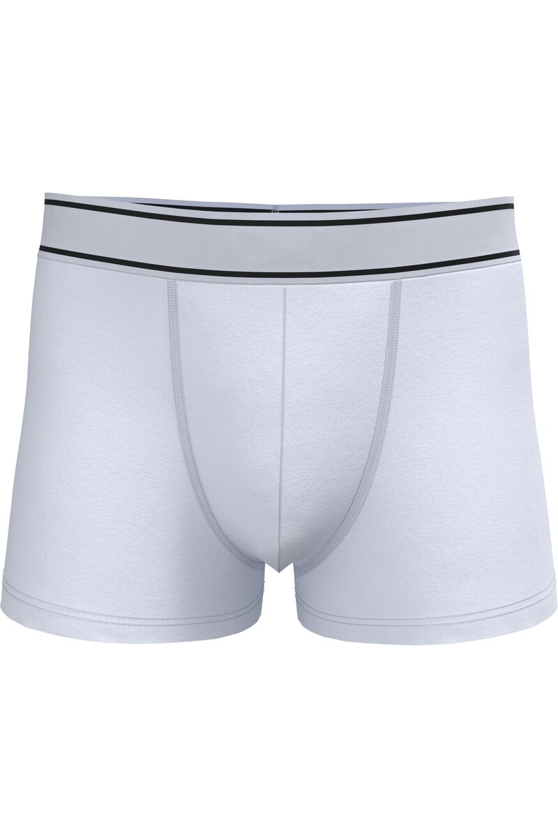 Men's boxer shorts Kariban KA800