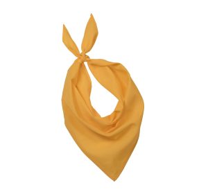 Fiesta bandana K-UP KP064