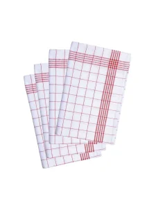 Dishcloth Karlowsky KGT16