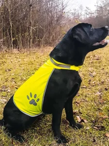 Gilet di sicurezza per cani Korntex Korntex KTH