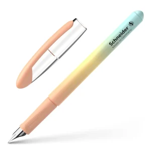 Penna stilografica Schneider Voyage Mauve/Mo