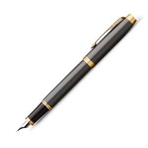 Fountain pen Parker IM core Grey GT F