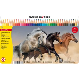 Coloured pencils Efa in metal 36/1