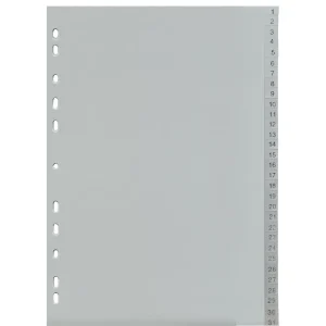 Index dividers 1-31