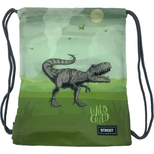 Shoes bag Dinosaur 530953