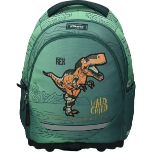 Ergonomic backpack Dinosaur 531075