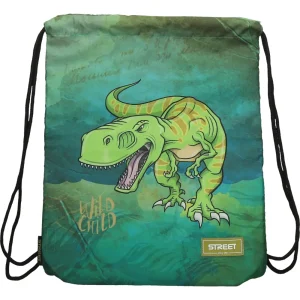 Shoes bag Dinosaur 531269