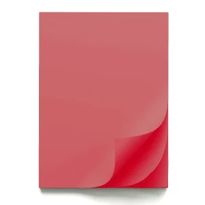Shelveshamer paper B1 date red