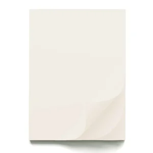 Shimmer paper B1 ivory white 10L 220g