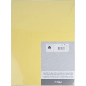 Drawing paper A3 250L 5 colours 220G