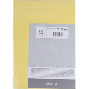 Drawing paper A4 250L 5 colours 220G