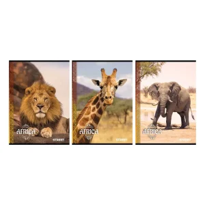 Quaderno Street Africa A4 a quadretti piccoli