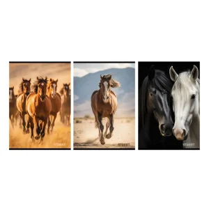 Quaderno Street Horses A4 a quadretti piccoli