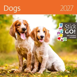Calendario cuccioli 2027