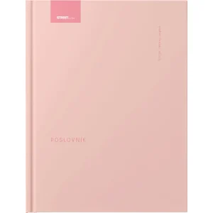 Planner Vizija pink