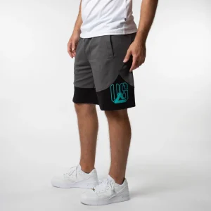 Men’s shorts PEAK F3242431