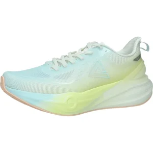 Scarpe sportive Peak TAICHI ET52628H