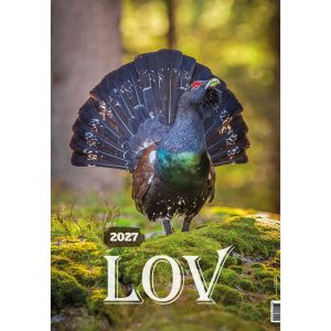 Hunting with hunting seasons