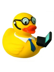 Paperella squittente, laptop MBW M131081