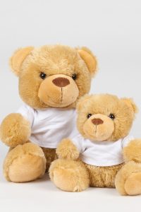 Bear in a T-shirt Mumbles MM030