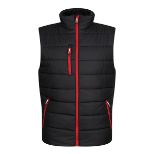 Gilet termico Navigate Regatta RETRA892