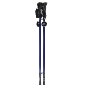 Bastoncini da trekking EE84251