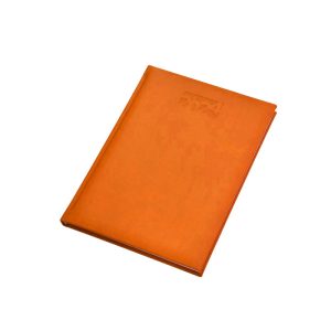 WEEK business diary with weekly dates