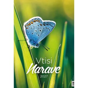 Impressioni della natura