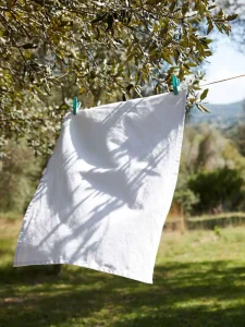 Tea towel Westford Mill W701