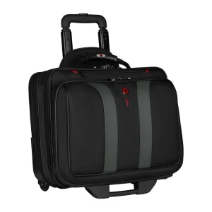 17″ Wheeled Computer Case